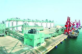 一個世界級新港城在西海岸迅速崛起