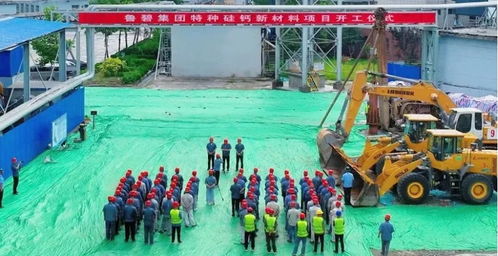 魯碧集團特種硅鈣新材料項目正式開工
