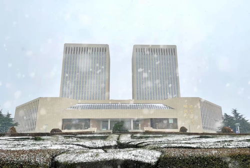 巍巍學府，人杰地靈——青島大學的新材料專業前沿探索